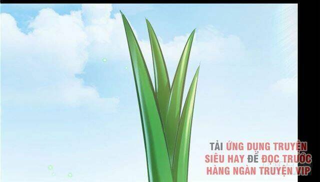 Tu Chân Nói Chuyện Phiếm Quần Chapter 158.5 - 53