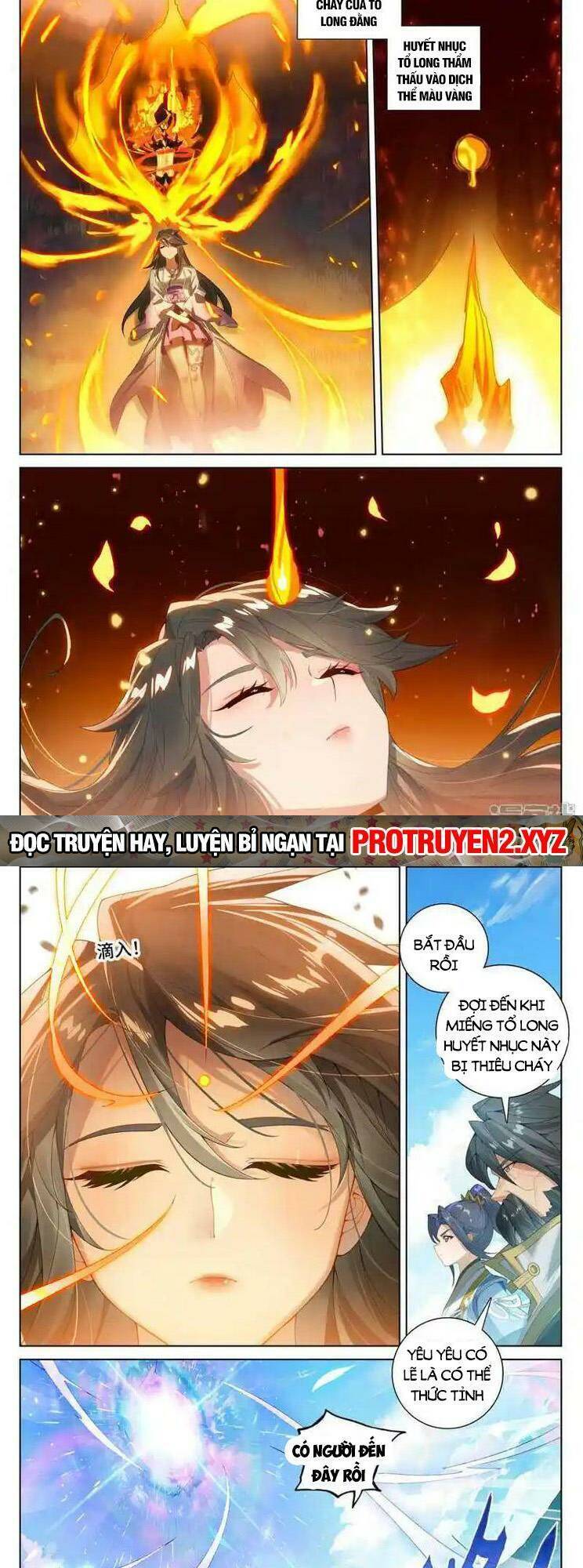 Nguyên Tôn Chapter 775 - 6