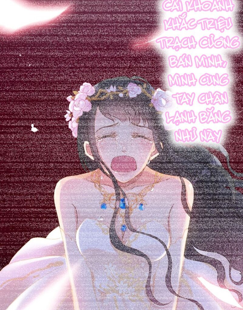 Cô Vợ Hợp Đồng Bỏ Trốn Của Tổng Giám Đốc Chapter 127 - 36
