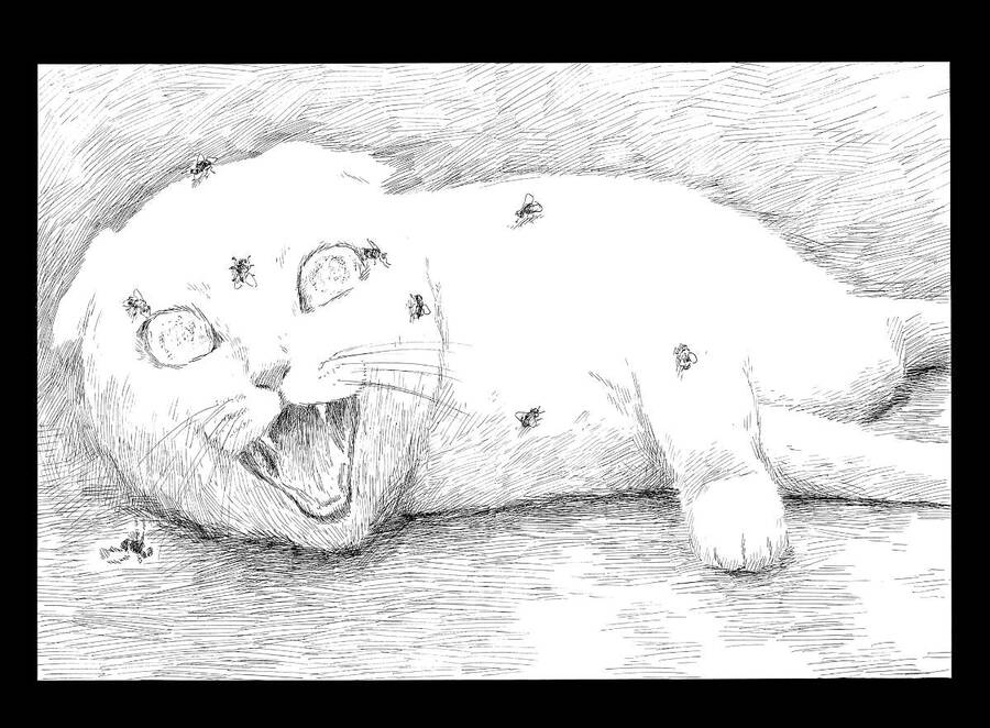 Đường Mòn Máu Chapter  125 - 18