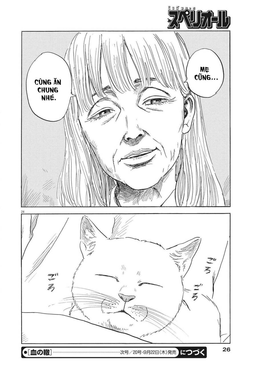 Đường Mòn Máu Chapter  129 - 26