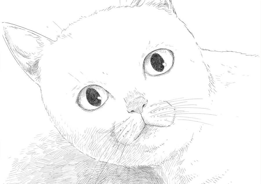 Đường Mòn Máu Chapter  138 - 17