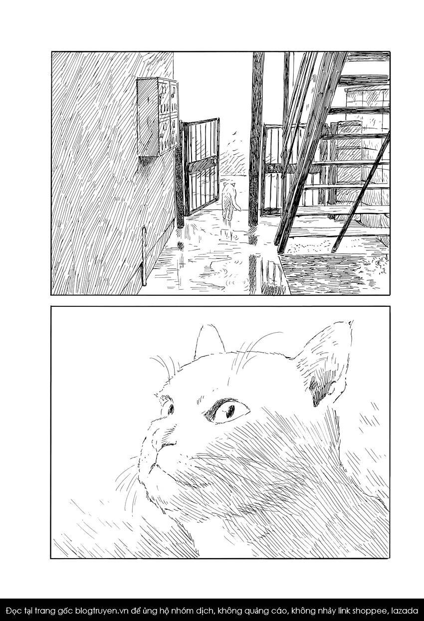 Đường Mòn Máu Chapter  139 - 22