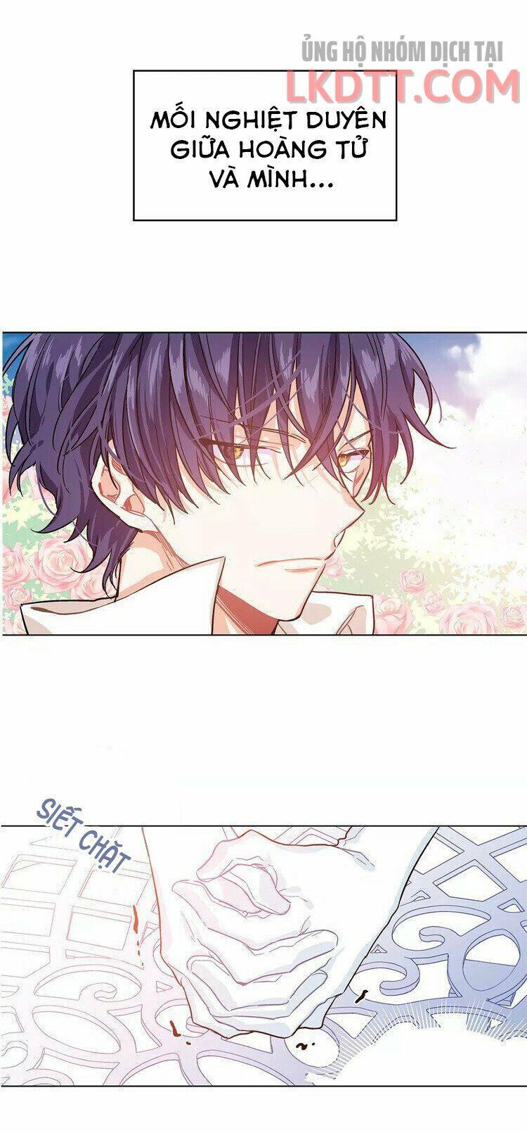 Nữ Hoàng Ngoại Khoa Chapter 0 - 27