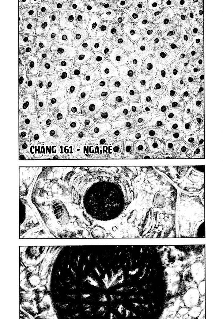 Kokou No Hito Chapter 161 - 2