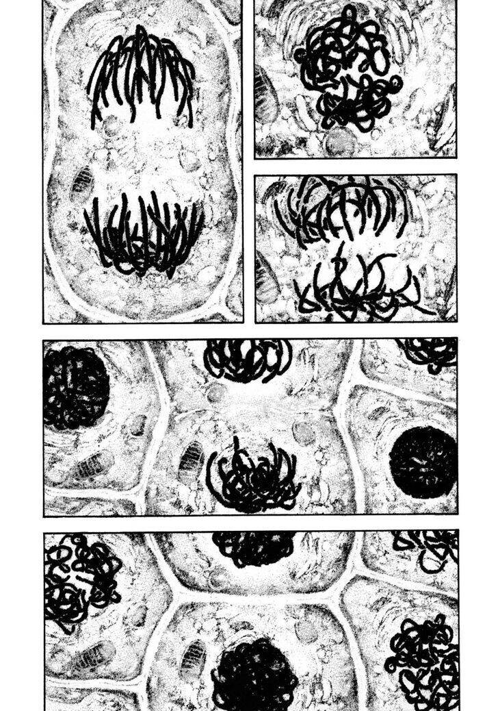 Kokou No Hito Chapter 161 - 6
