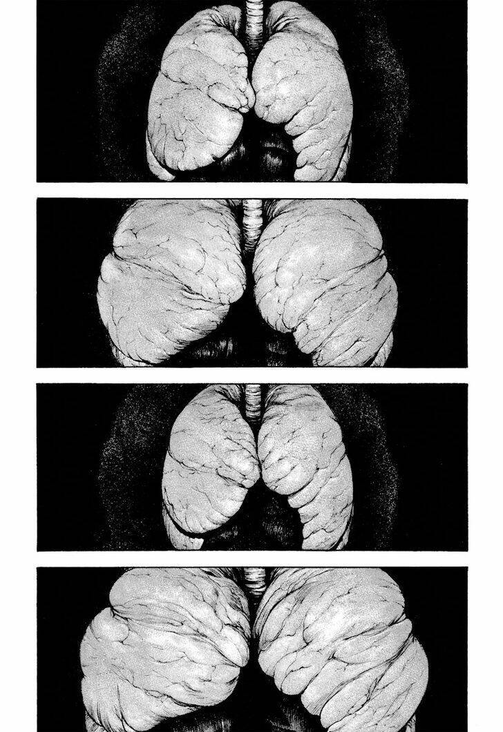 Kokou No Hito Chapter 166 - 12