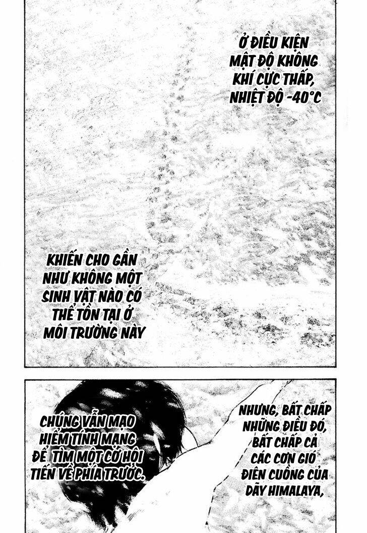 Kokou No Hito Chapter 168 - 11