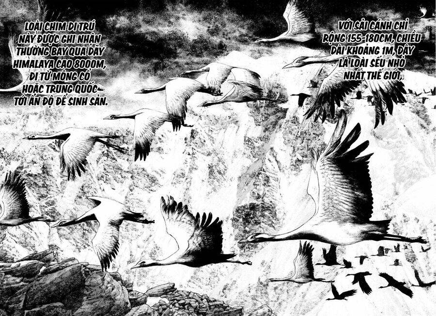 Kokou No Hito Chapter 168 - 10