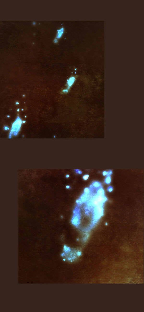 Trở Thành Pháp Sư Ở Thế Giới Mới Chapter 52 - 16