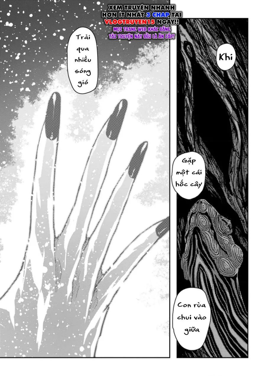 Zingnize Chapter 55 - 16