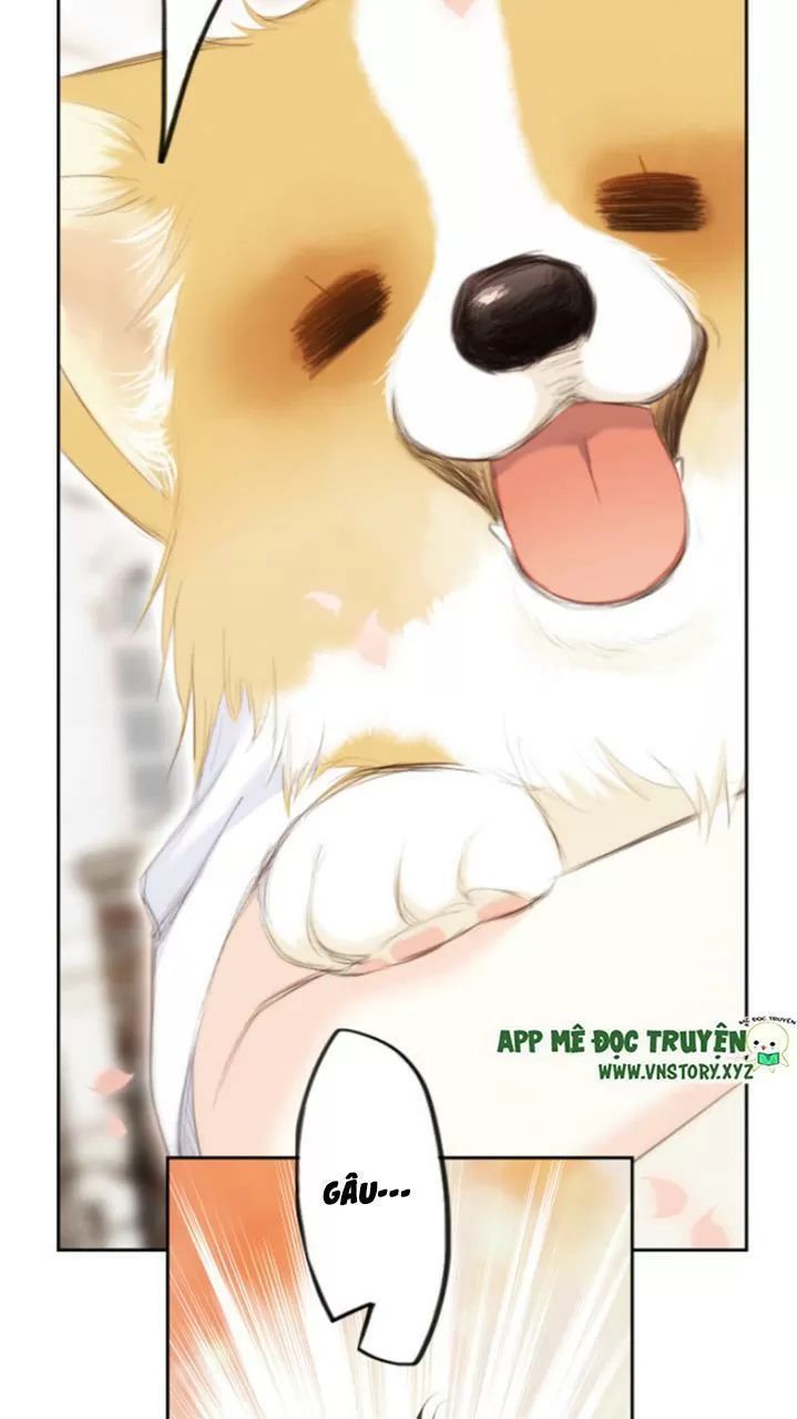 Con Tim Rung Động 2 Chapter 126.5 - 14