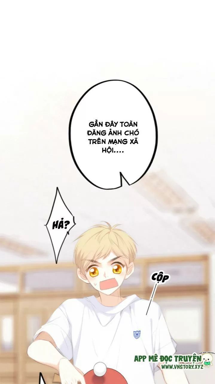 Con Tim Rung Động 2 Chapter 126.5 - 20