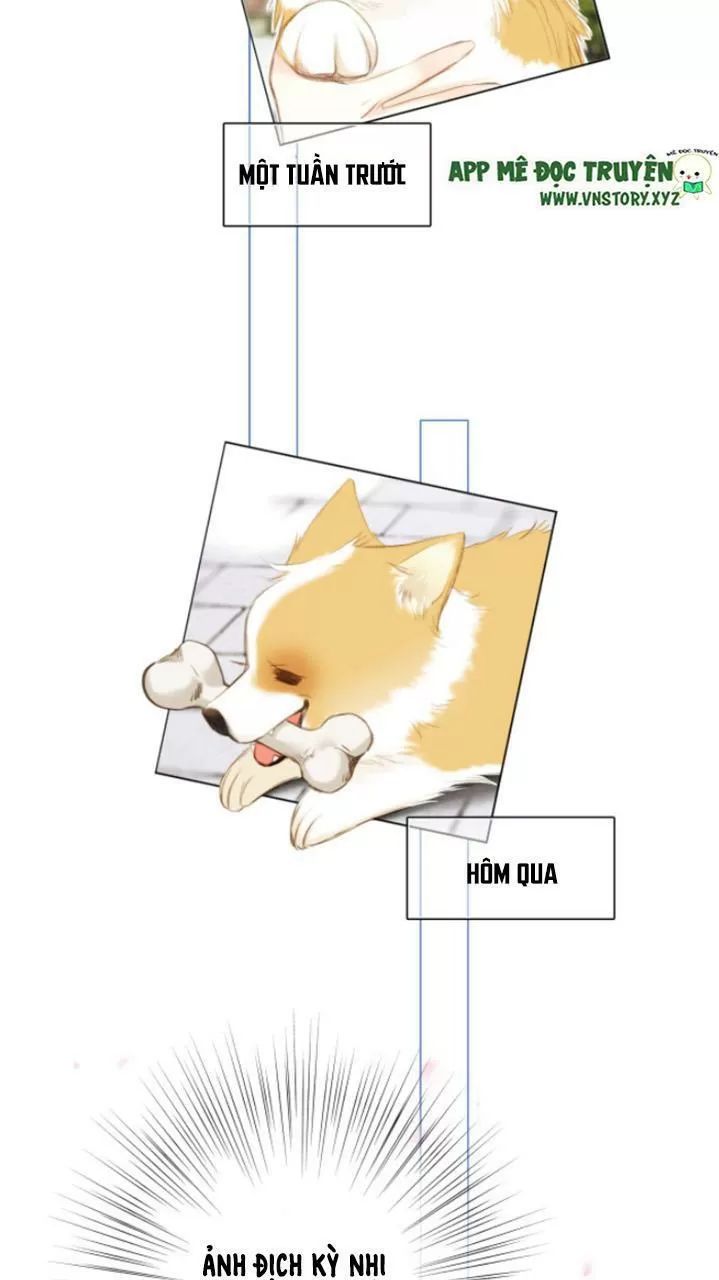 Con Tim Rung Động 2 Chapter 126.5 - 3