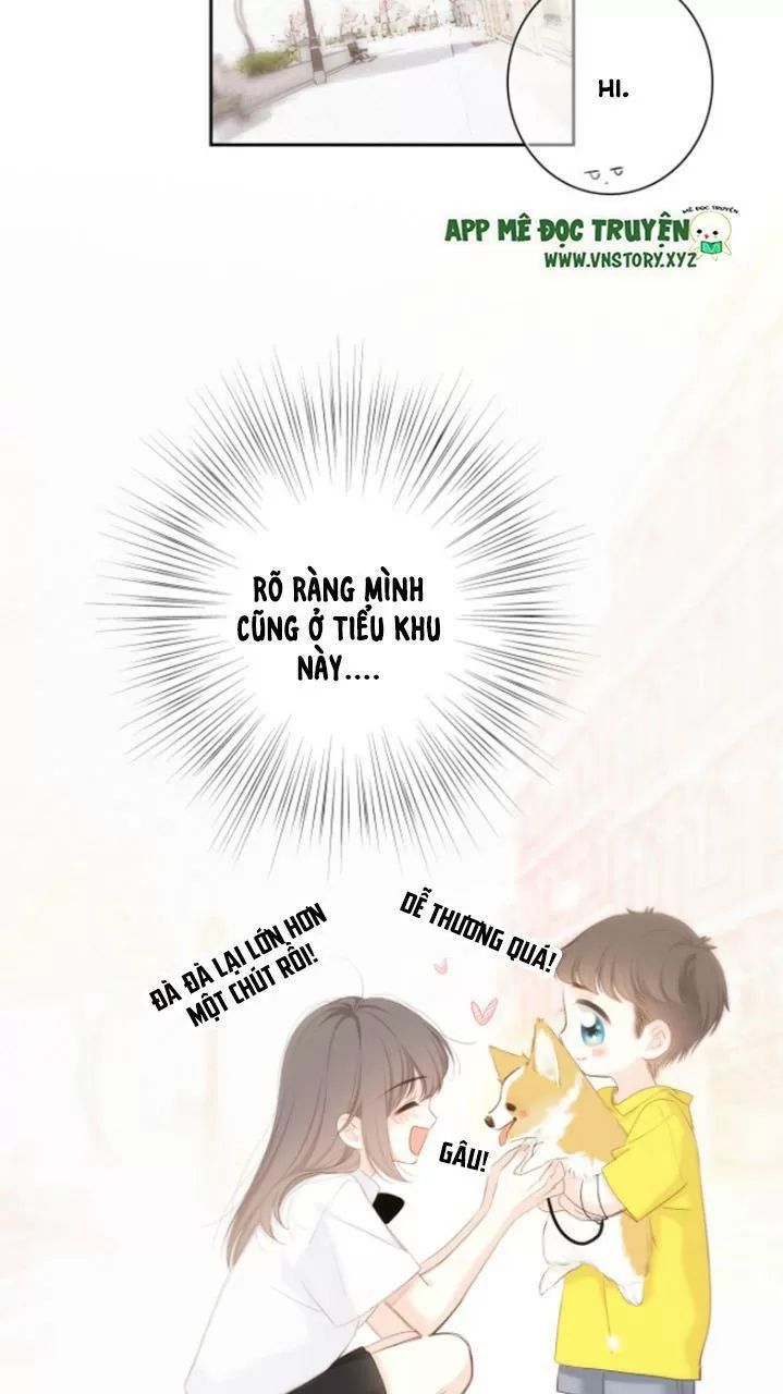 Con Tim Rung Động 2 Chapter 126.5 - 8