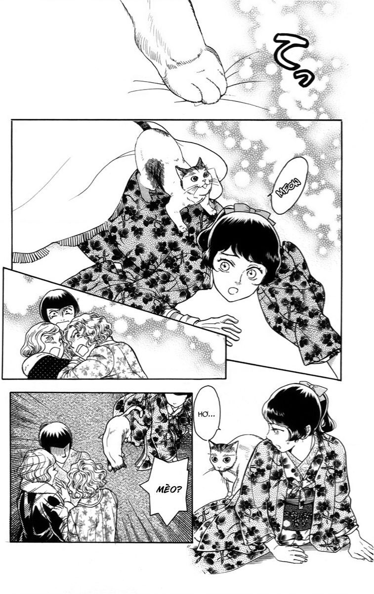 Madame Petit Chapter 18 - 28