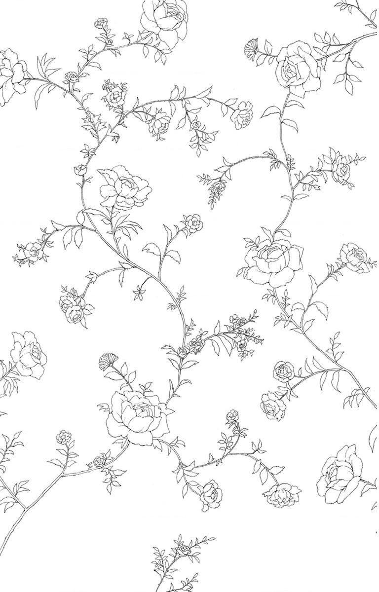 Madame Petit Chapter 25 - 9