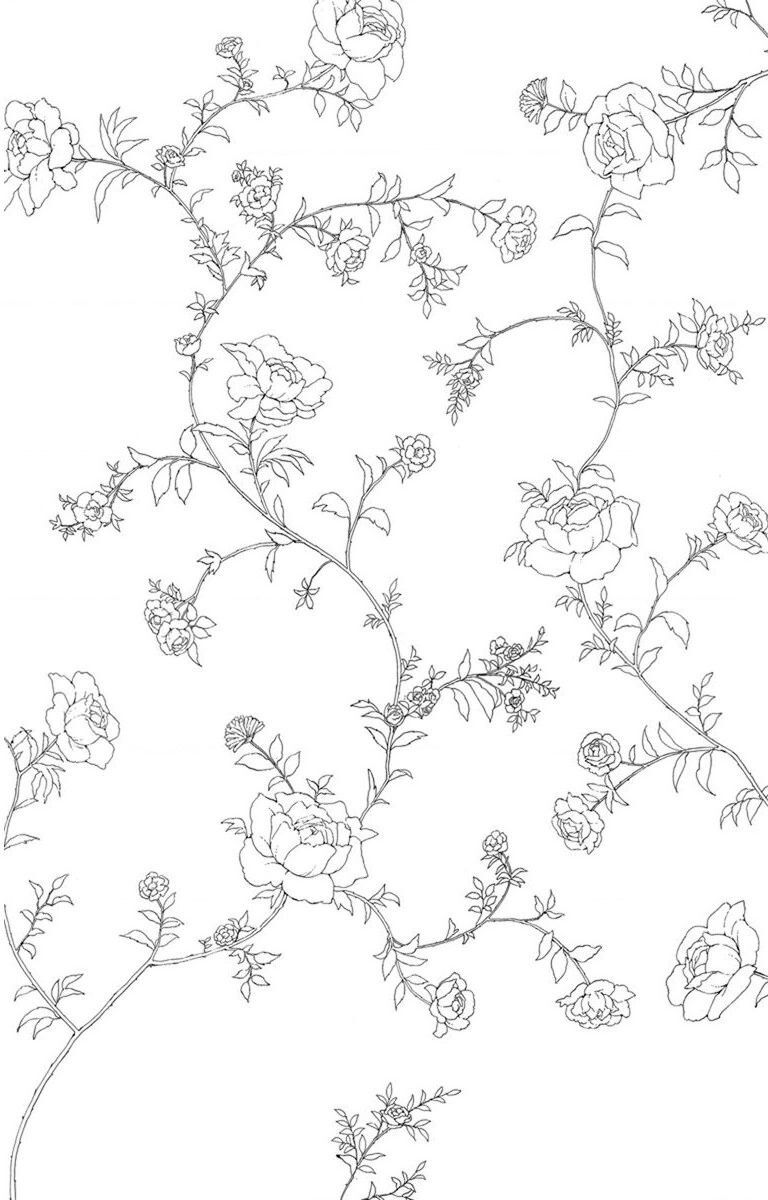 Madame Petit Chapter 27 - 37