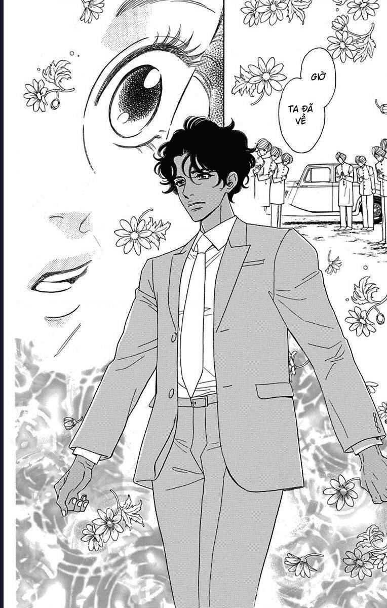 Madame Petit Chapter 37 - 17