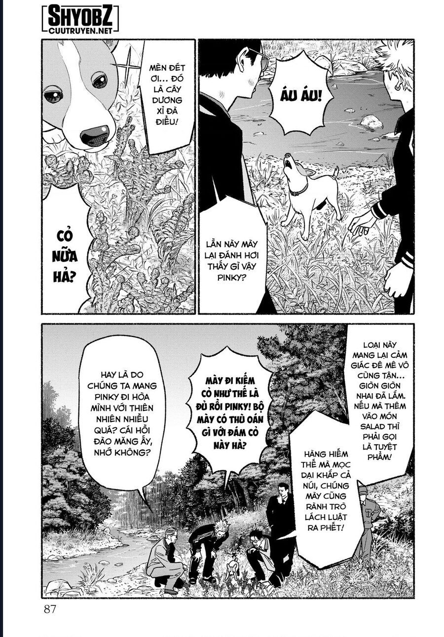 Ông Chồng Yakuza Nội Trợ Chapter 114 - 14