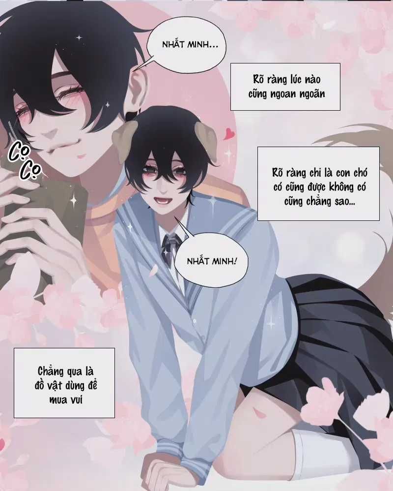 Mệnh Lệnh Tuyệt Đối Của Bá Đạo Vương Tử Phần 2 Chapter 19 - 3