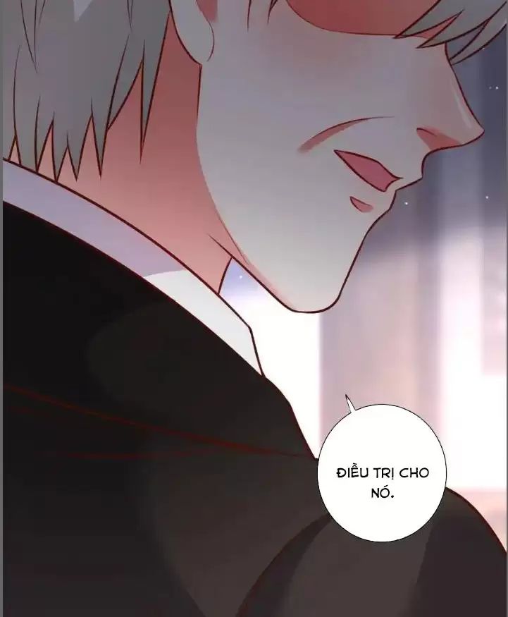 Hắc Đạo Này Có Chút Manh Chapter 213 - 5