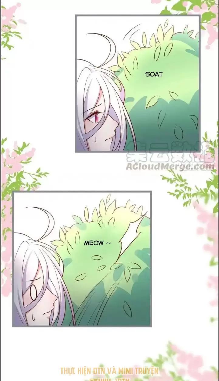 Hắc Đạo Này Có Chút Manh Chapter 234 - 35