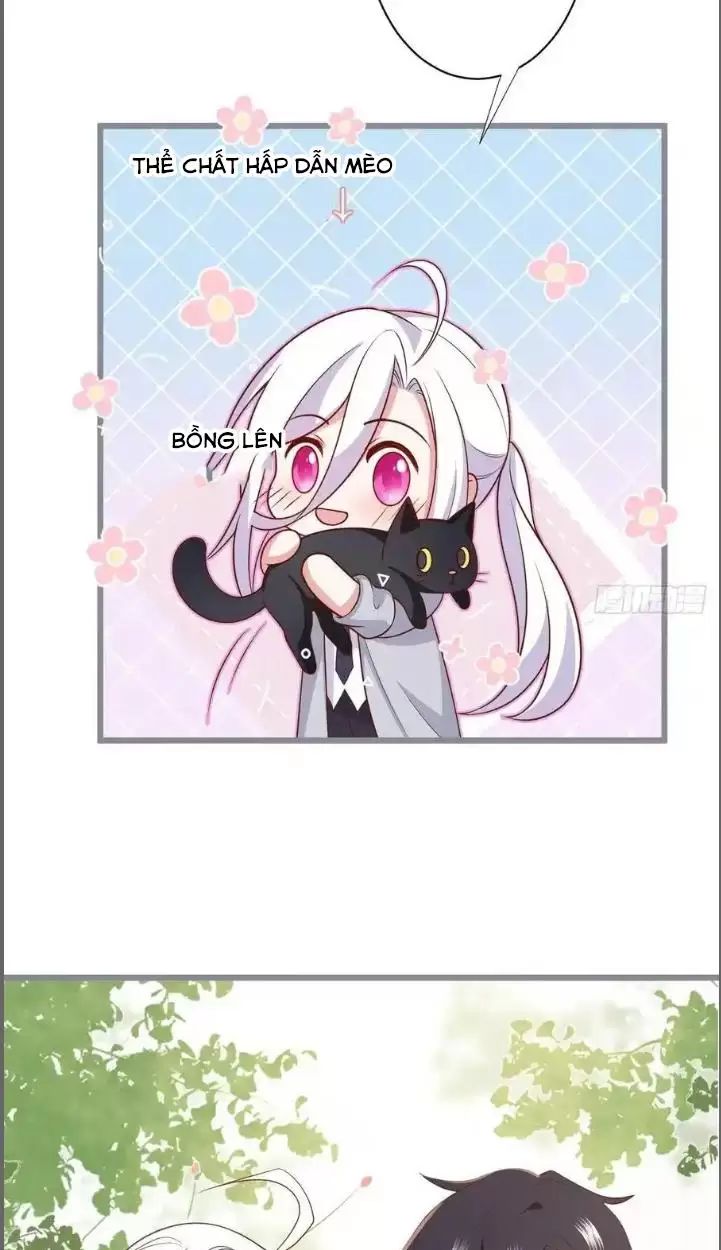Hắc Đạo Này Có Chút Manh Chapter 234 - 37