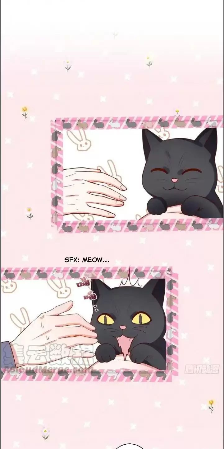 Hắc Đạo Này Có Chút Manh Chapter 235 - 6