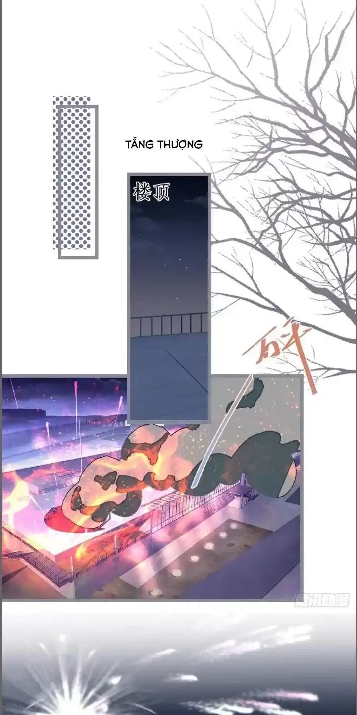 Hắc Đạo Này Có Chút Manh Chapter 242 - 31
