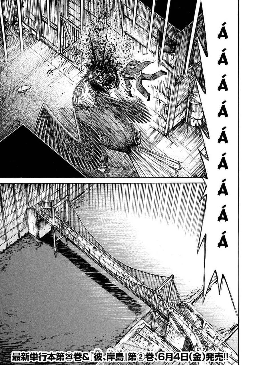 Đảo Ma Cà Rồng Phần 3 Chapter  784 - 4