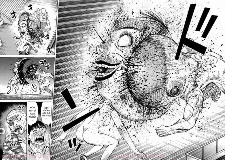 Đảo Ma Cà Rồng Phần 3 Chapter  798 - 19