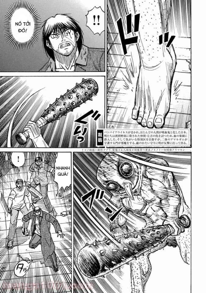 Đảo Ma Cà Rồng Phần 3 Chapter  801 - 5