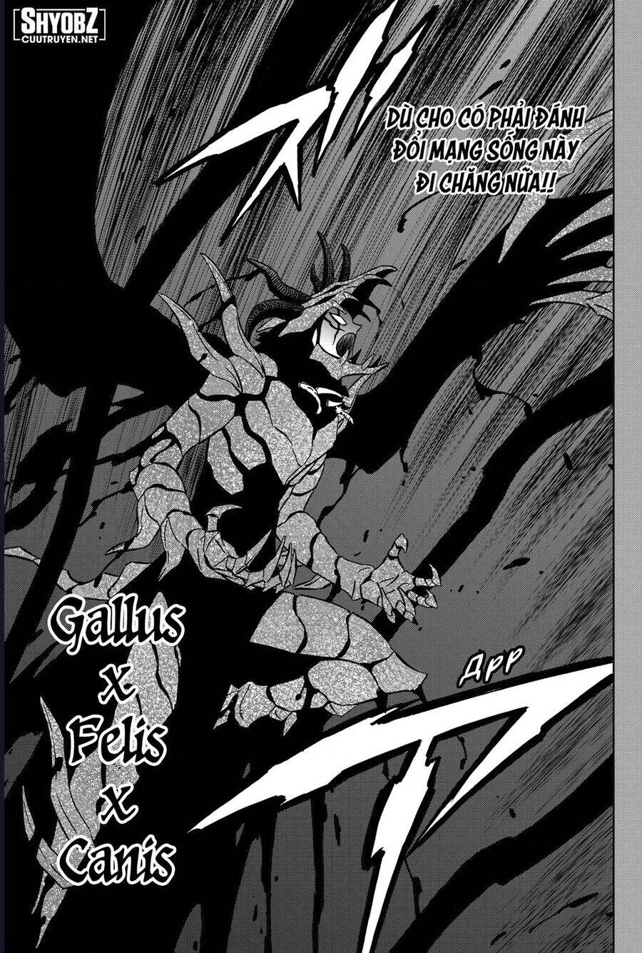 Black Clover - Thế Giới Phép Thuật Chapter 375 - 5