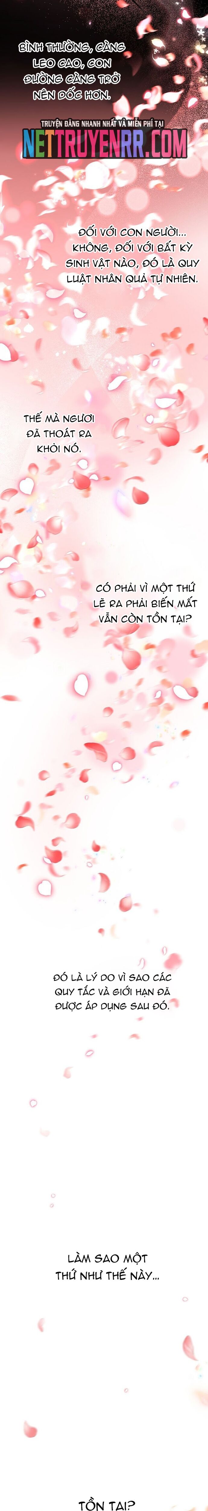 Cốt Binh Trở Lại Chapter 334 - 35