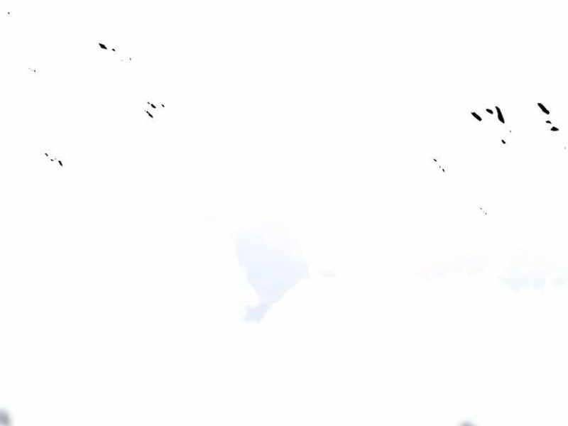 Fate/Extra Ccc Fox Tail Chapter 20.5 - 230