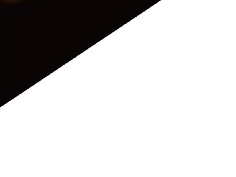 Fate/Extra Ccc Fox Tail Chapter 29.5 - 264