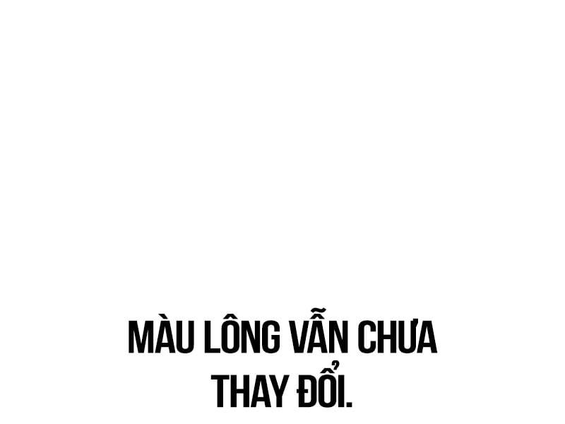 Fate/Extra Ccc Fox Tail Chapter 29.5 - 33