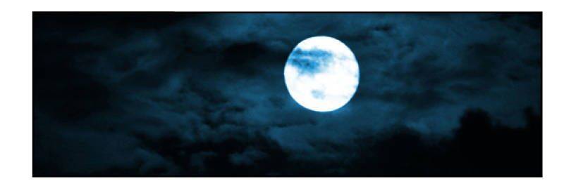 Thiếu Gia Bị Bỏ Rơi Chapter 11 - 2