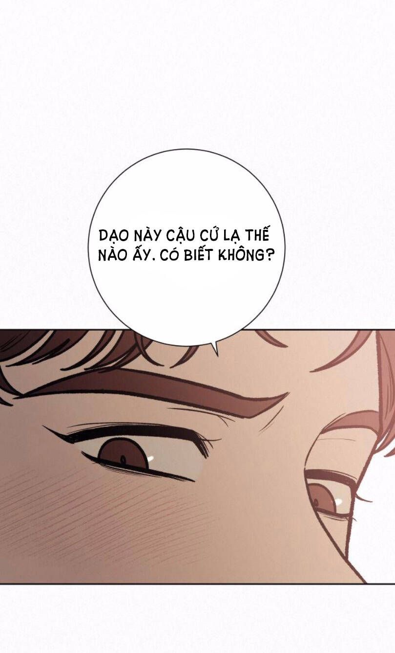 Thứ Mà Đôi Ta Mong Muốn Chapter 27.1 - 53