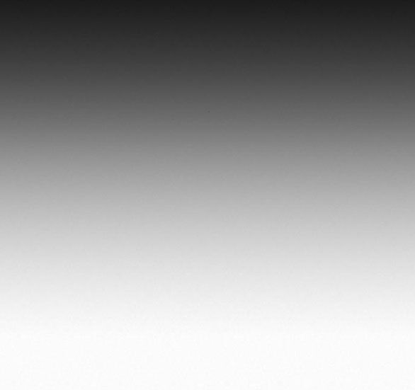 Thứ Mà Đôi Ta Mong Muốn Chapter 60.1 - 50