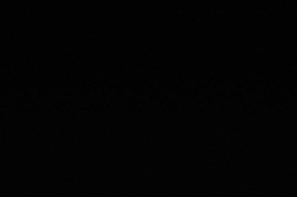 Thứ Mà Đôi Ta Mong Muốn Chapter 71.1 - 55