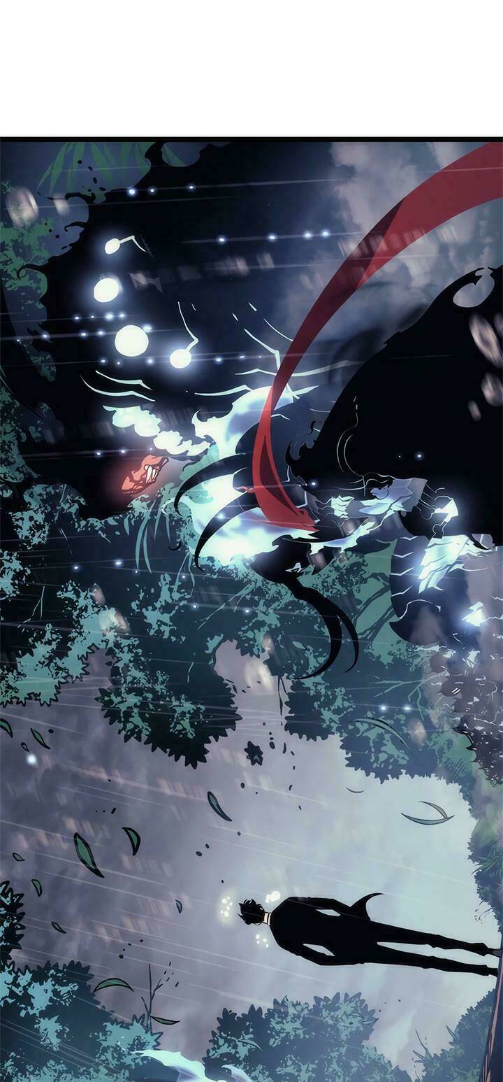Tôi Thăng Cấp Một Mình Chapter 110 - 64