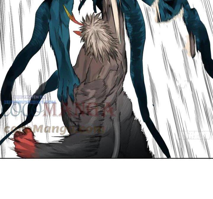 Truyền Võ Chapter 293 - 51