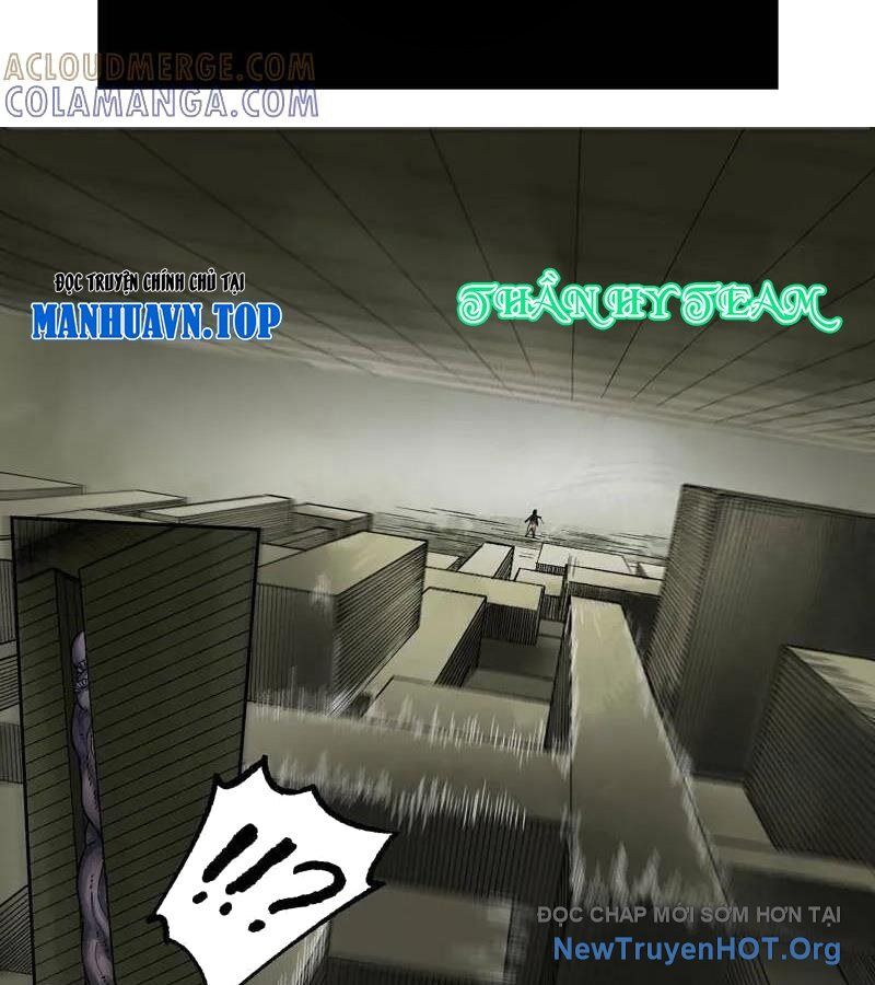 Truyền Võ Chapter 478 - 21