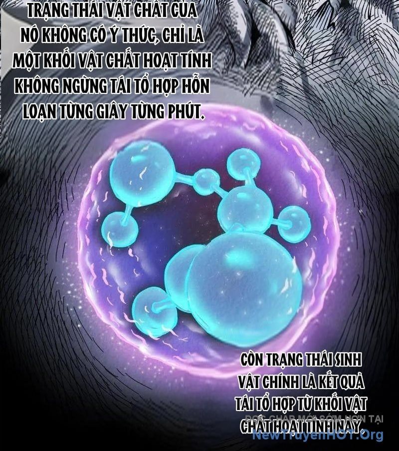 Truyền Võ Chapter 480 - 26