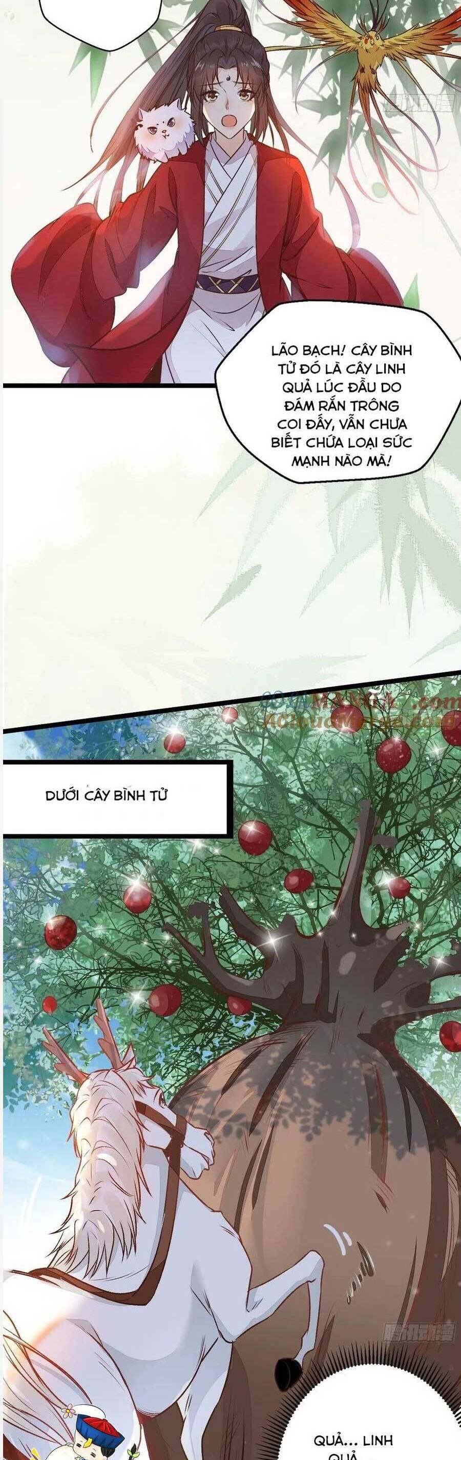 Tuyệt Sắc Quyến Rũ: Quỷ Y Chí Tôn Chapter 504 - 10