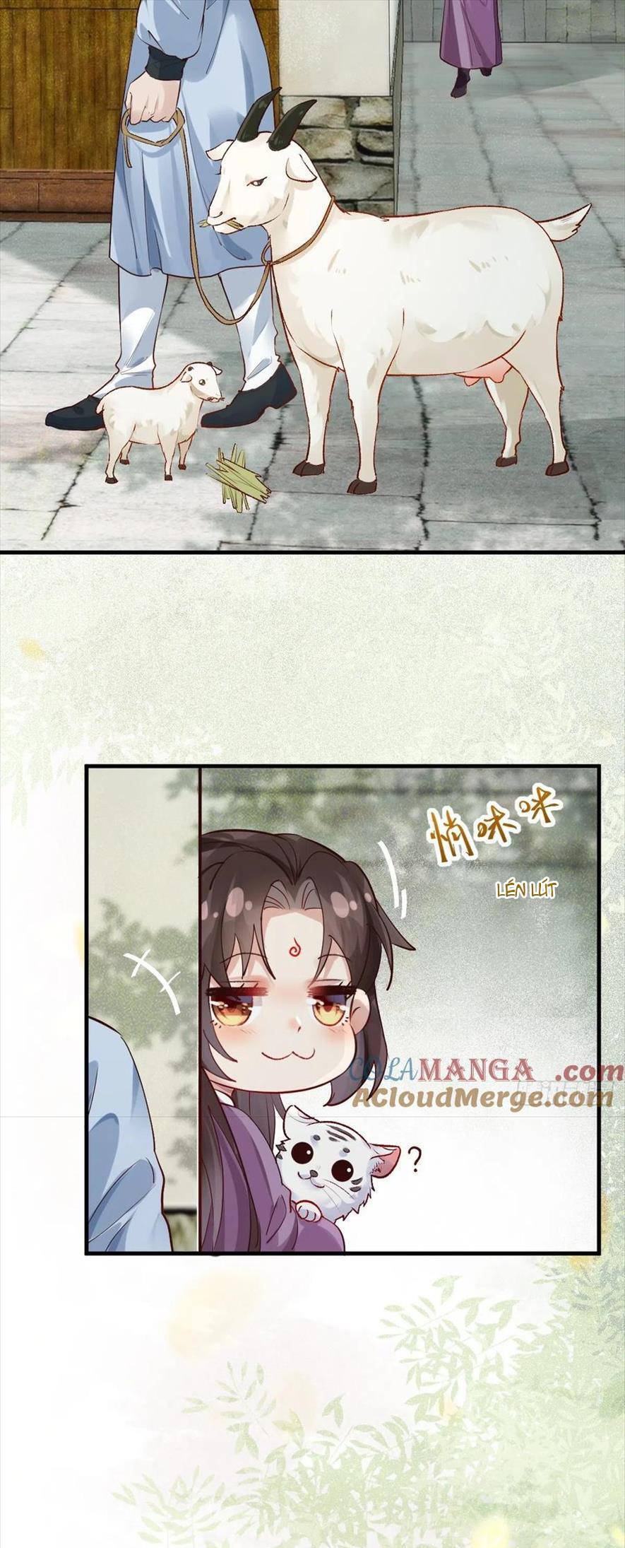 Tuyệt Sắc Quyến Rũ: Quỷ Y Chí Tôn Chapter 540 - 18