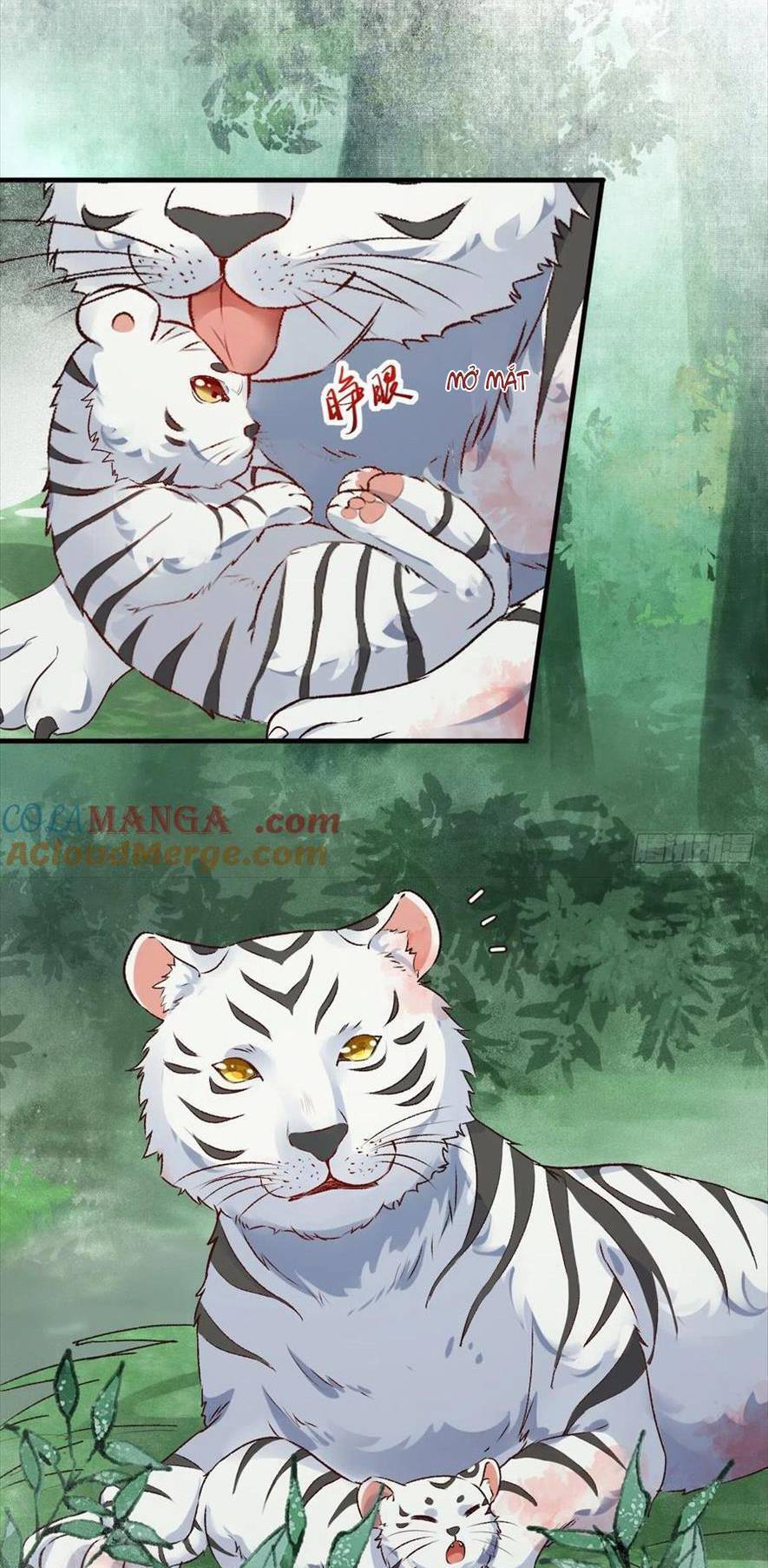 Tuyệt Sắc Quyến Rũ: Quỷ Y Chí Tôn Chapter 540 - 5