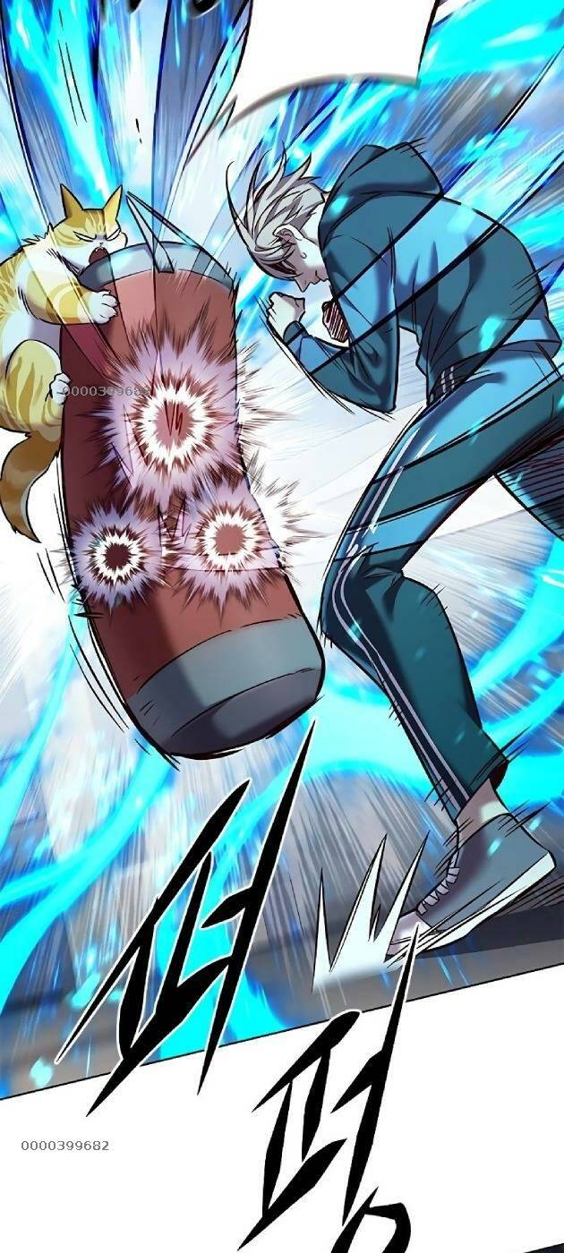 Hoá Thân Thành Mèo Chapter 241.1 - 12